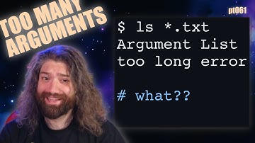 Bash "Argument List Too Long" - What is this error and how to fix it! You Suck at Programming #061