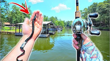 Catching GIANT Summer Bass On Floating DOCKS (Big Surprise)
