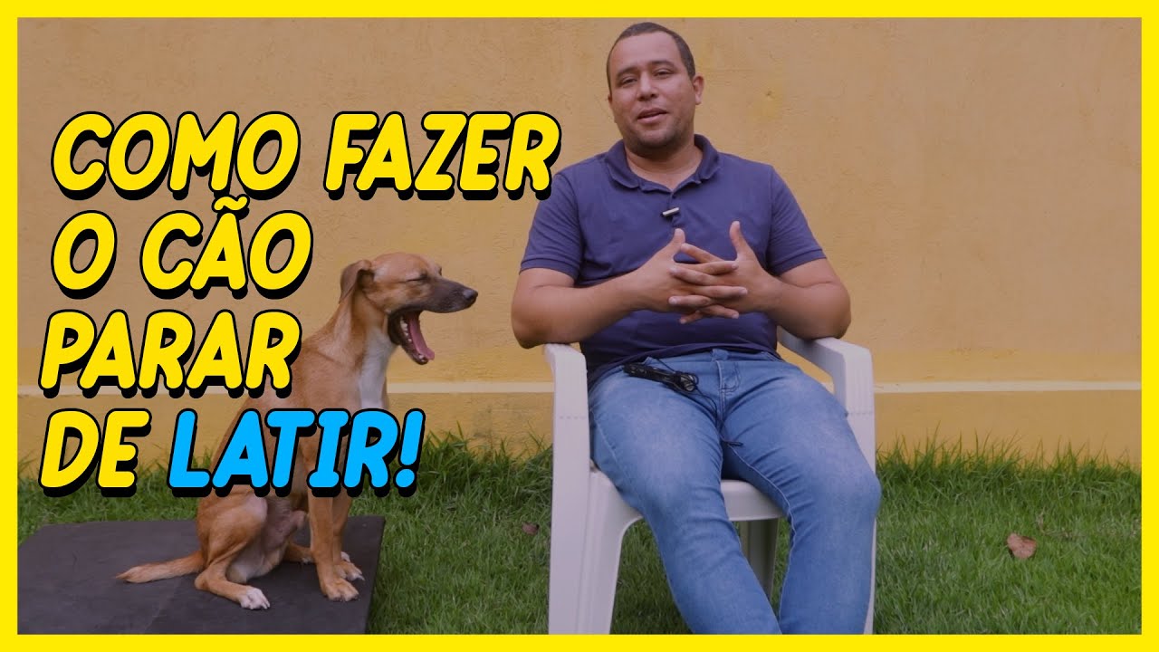 Como fazer o cachorro parar de Latir - YouTube
