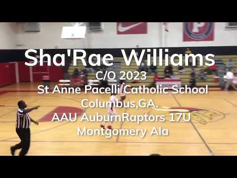 Highlights Pacelli Catholic High School & AuburnRaptors 17U