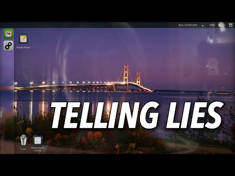 telling lies video game
