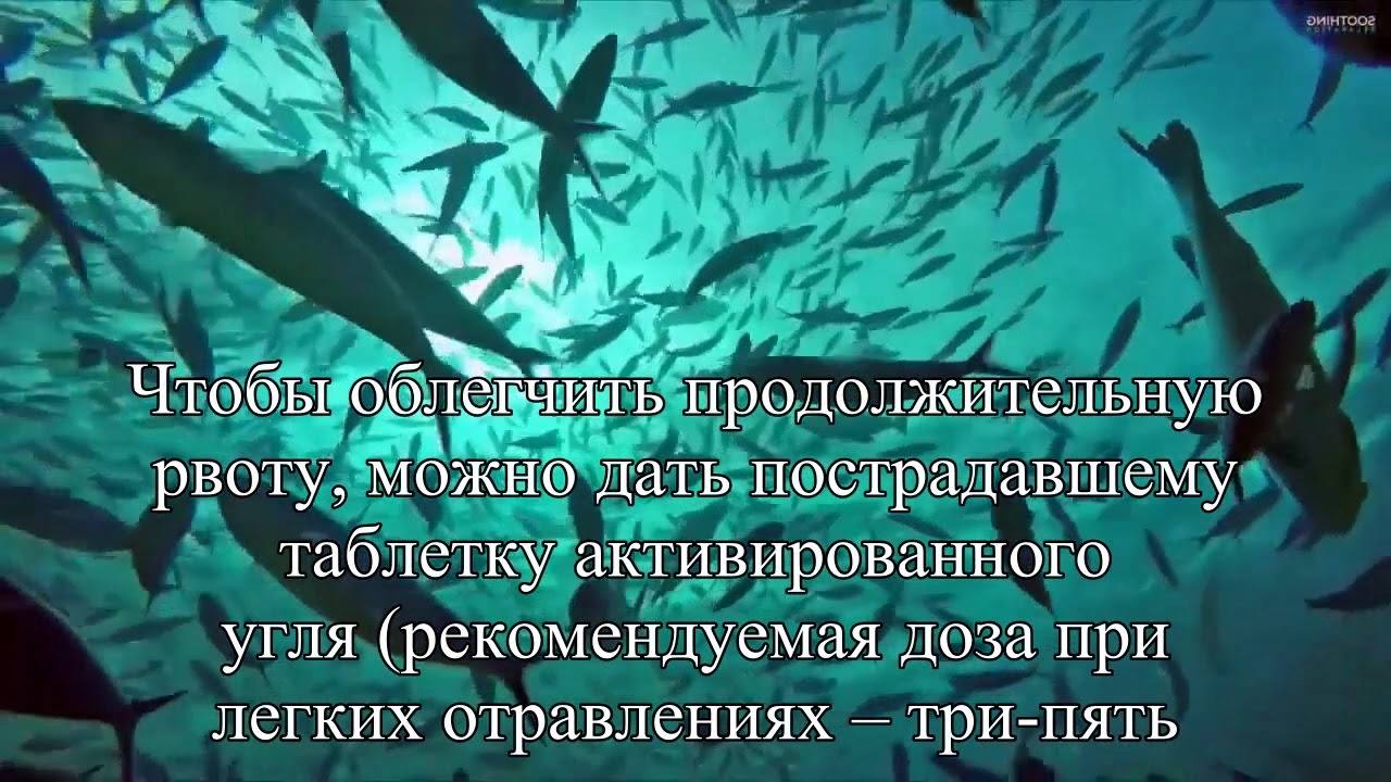 Как оказать первую помощь при разных видах отравления — Статья
