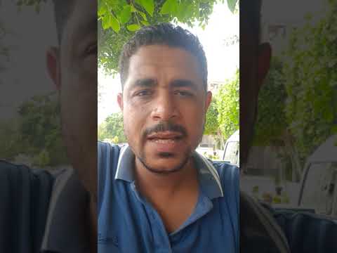 الست دي ب 100 راجل