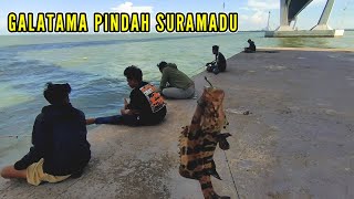 Spot mancing anti boncos pancang suramadu #fishing #mancing #mancingmania #mancingmantap 