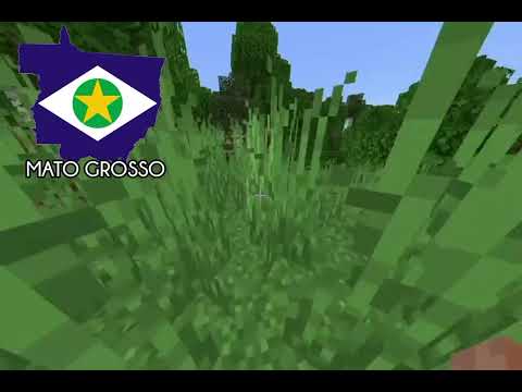 Estados brasileiros representados no Minecraft