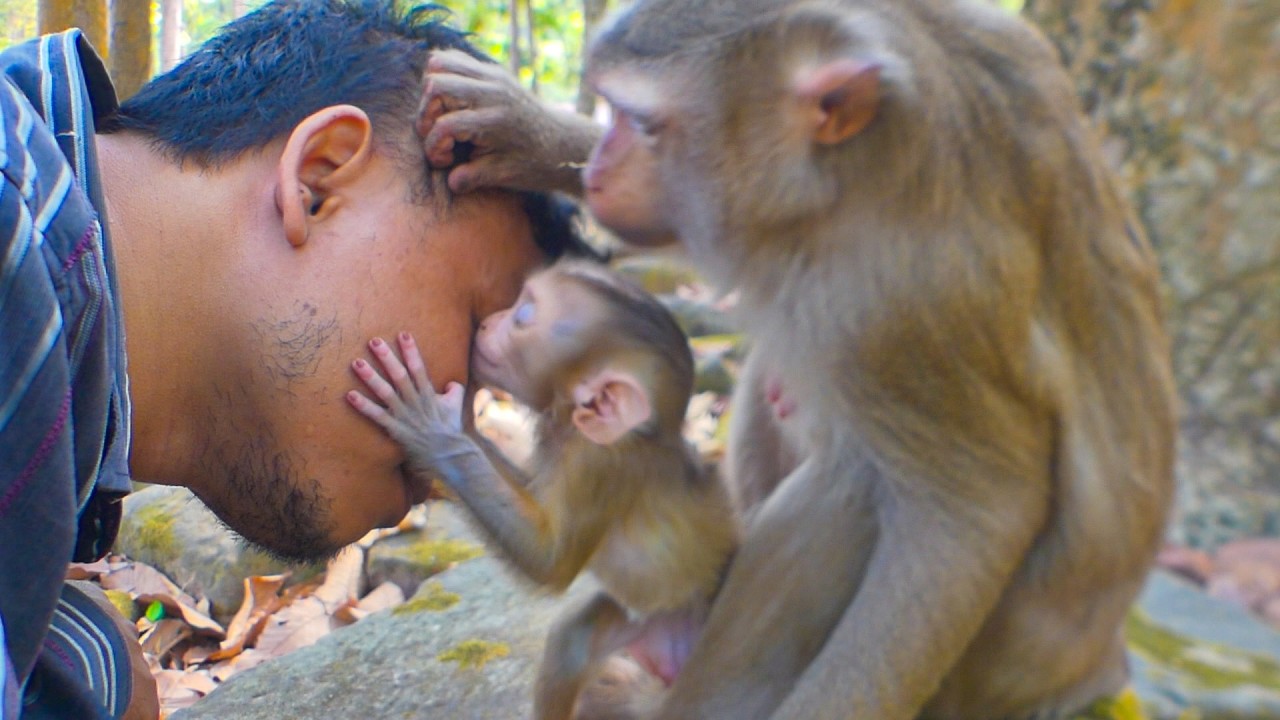 Thank sweet love tiny Lucan giving me heartwarming kissing &  Lauy is gentle grooming