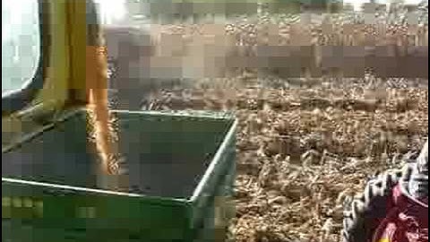 Unloading Corn on the Go