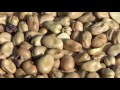 ПОДГОТОВКА К ПОСЕВY БОБОВ (prepering to sow beans)