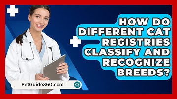 How Do Different Cat Registries Classify and Recognize Breeds? - PetGuide360.com