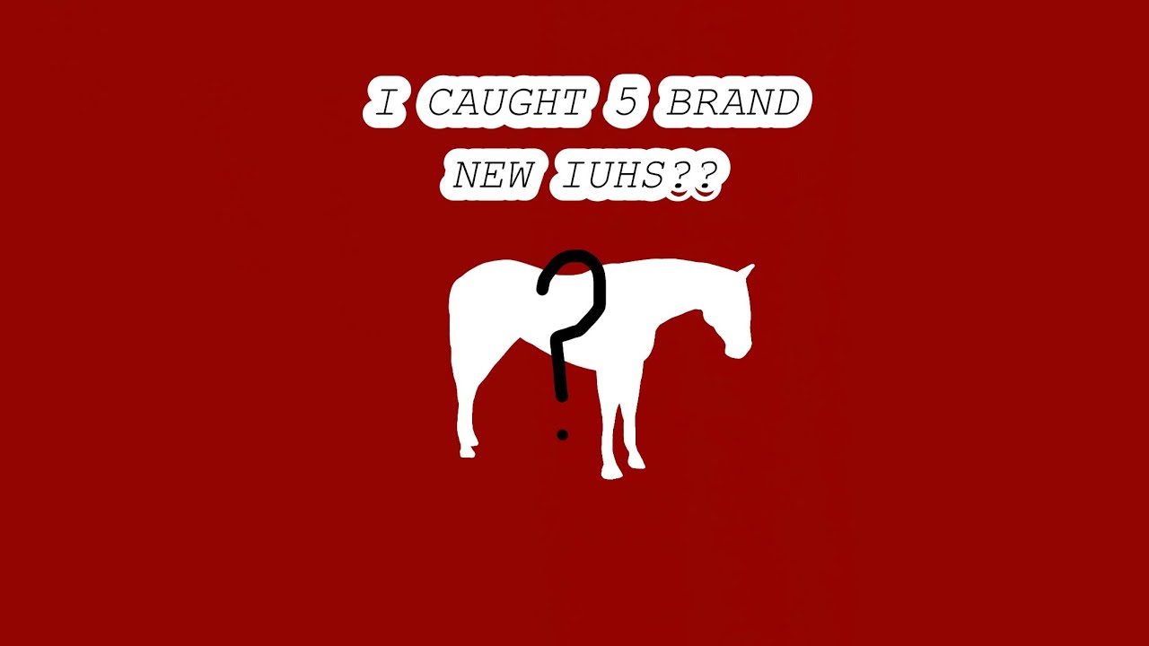 I caught another 5 hairs!! *SOME OF MY CRAZIEST CATCHES*