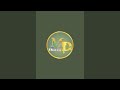 pilastar design live