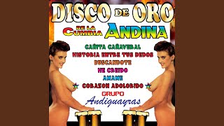 Grupo Andiguayras - Topic