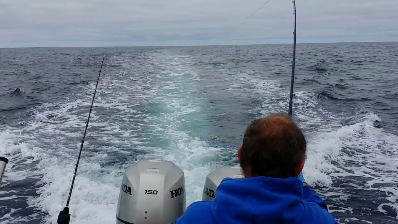 Coos bay oregon tuna fishing YouTube