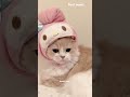 Ruby-chan #kawaii toca |shorts |cats |AI SCREAM