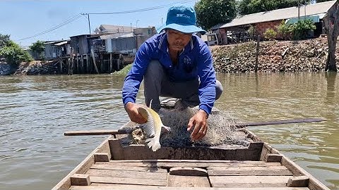 chài trúng cá mè dinh cá cóc cá sửu to quá mọi người ơi