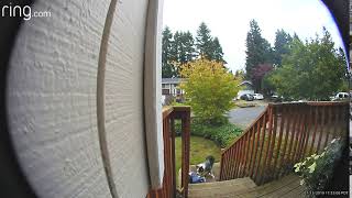 Boy falls down stairs of porch with dog (Security Camera)