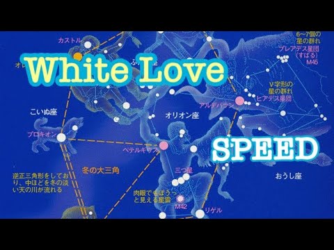 White Love-SPEED(字幕ｱﾘ,たぶん最強MV,5th SINGLE 1997.10.15) "幻爽"宇宙シリーズ17  #SPEED #WhiteLove #冬の星座
