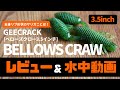 【レビュー&水中動画】ジークラック ベローズクロー 3.5インチ【バス釣り/琵琶湖】