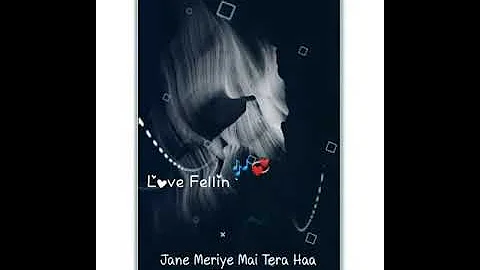 jane meriye mai tera  whatsapp status