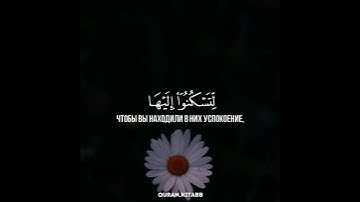 (وَمِنْ آيَاتِهِ أَنْ خَلَقَ لَكُم مِّنْ أَنفُسِكُمْ أَزْوَاجًا) سورة الروم 21   القارئ رعد الكردي