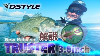 TRUSTER3.8インチ Promotion / 西平守良 実釣解説 DSTYLE(青木大介）