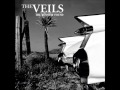 The Veils - Wires to flying birds