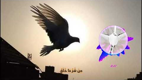 سورة الفلق مكتوبة و بصوت رائع