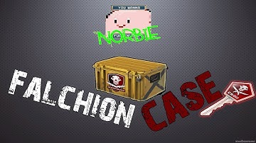 CS:GO (ONE) Falchion Case