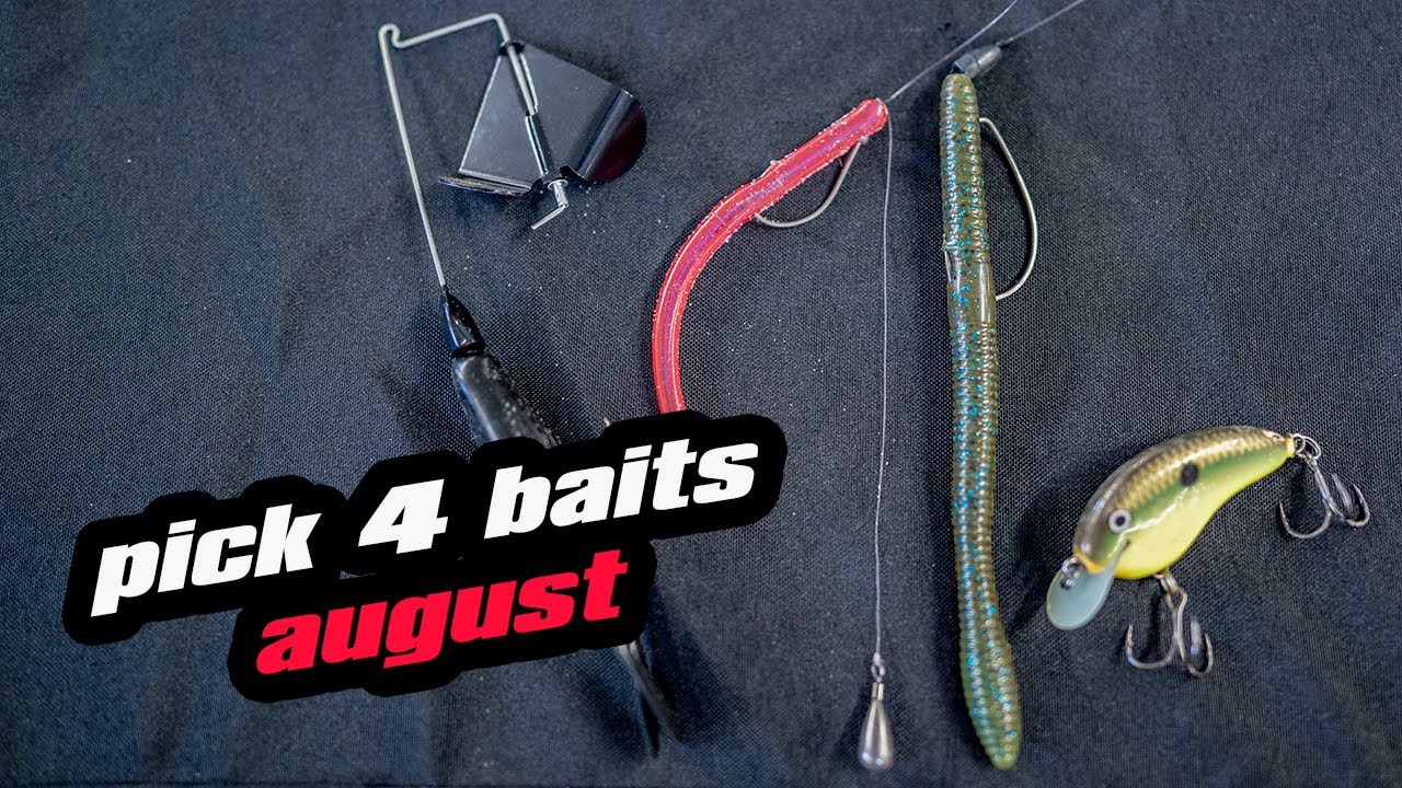 Pick 4 Baits For August YouTube