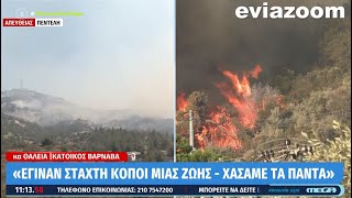 EviaZoom - Κάτοικος Βαρνάβα: «Κάηκε το σπίτι μας γιατί όλα τα πυροσβεστικά ήταν έξω από τις βίλες..»