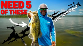 GRASS Or GRAPHS? - Figuring Out LAKE GUNTERSVILLE - Stage 4 Practice Vlog