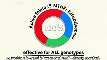 🤔❓1 in 3 Dads-to-Be Waste Folic Acid? A Shocking Fertility Study Reveals Why!