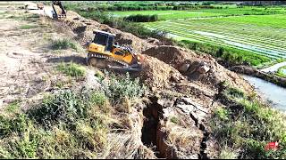 Massive Land Fill Up Completed! Heavy Bulldozer Pushing Dirt & Dump Trucks at Full Speed