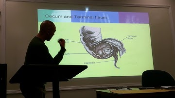 Rad 247 Lecture 2: Video 1 of 2