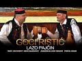 Goran goci ristic  lazo pajin official audio 2023