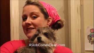 Using Spot Shot On A Puppy-Created Carpet Stain