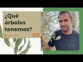 🍀🌱 ¿Qué árboles plantar para un bosque comestible? 🌳🥑 | Episodio 20