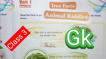 Algemene kennis voor kinderen || Klas 3 Gk