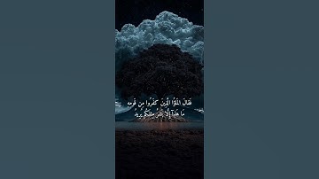 تلاوة خاشعة للقارئ ياسر الدوسري ارح سمعك #قرآن #راحة_نفسية