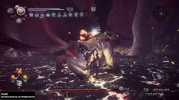 Nioh 2 Mezuki damage test