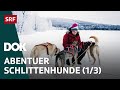 Abenteuer Schlittenhunde | Mit Huskys unterwegs in Finnisch Lappland (1/3) | Doku | SRF Dok