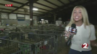 2026 Shelby County Fair opens Monday