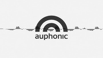 The BlindShell Classic 2 Phone Layout