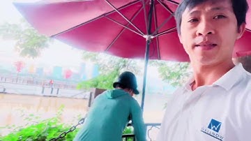 Đà Nẵng nơi có cây cầu Rồng bắt ngang qua sông Hàn đẹp bậc nhất Việt Nam