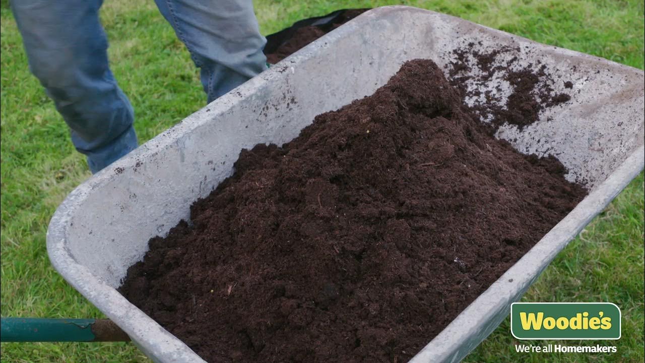 How To Repair Lawn Patches (With Garden & DIY Expert Brian Burke) YouTube
