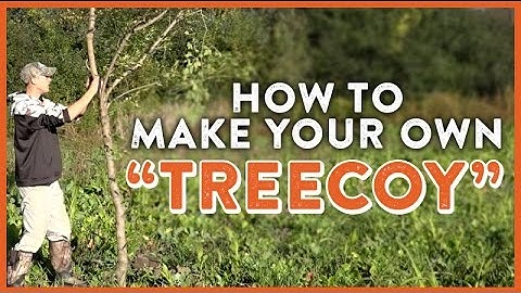 Make Your Own Deer Scrape Tree