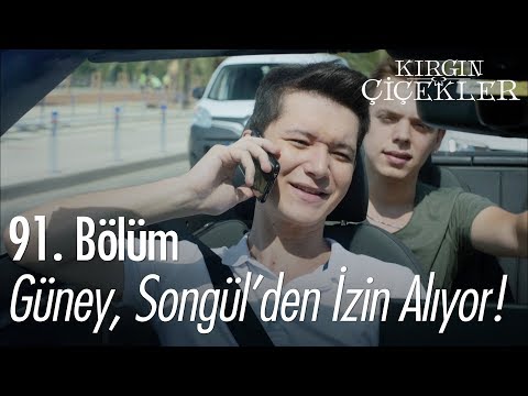 Güney, Songül'den izin istiyor - Kırgın Çiçekler 91. Bölüm