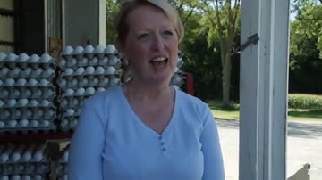 How are eggs graded?