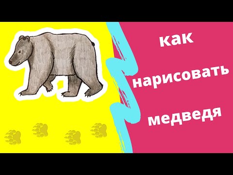 Как нарисовать медведя 🐻 .| How to draw a bear.