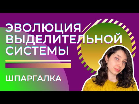 Выделительная система животных— шпаргалка. ЦТ, ЕГЭ, ЗНО